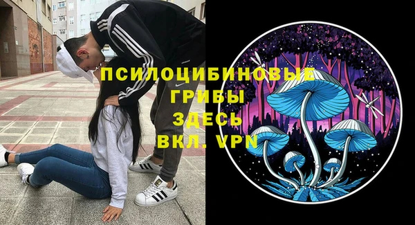 дмт Армянск