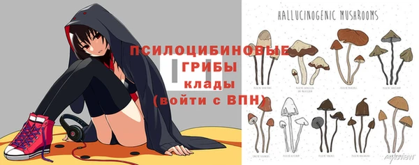 дмт Армянск