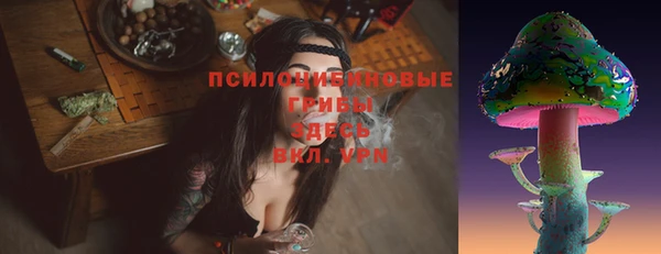 a pvp Арсеньев