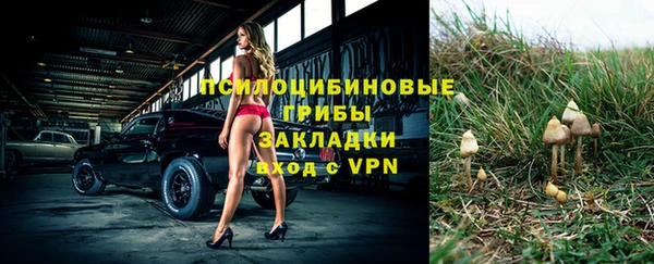 дмт Армянск