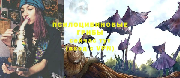 дмт Армянск