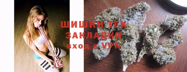 прущие крисы Аркадак